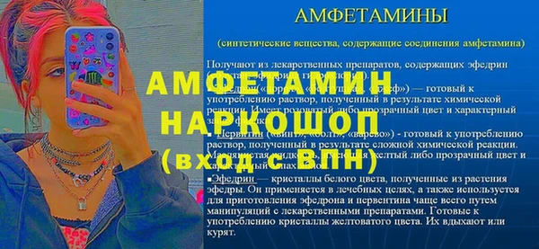 apvp Пересвет
