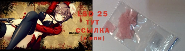 apvp Пересвет