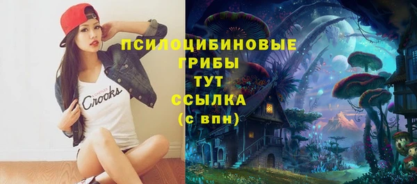 apvp Пересвет
